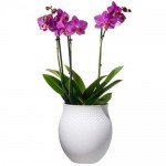 Ваза Perle 17,5 см Manufacture Collier Blanc Villeroy & Boch Ваза Perle 17,5 см Manufacture Collier Blanc Villeroy & Boch